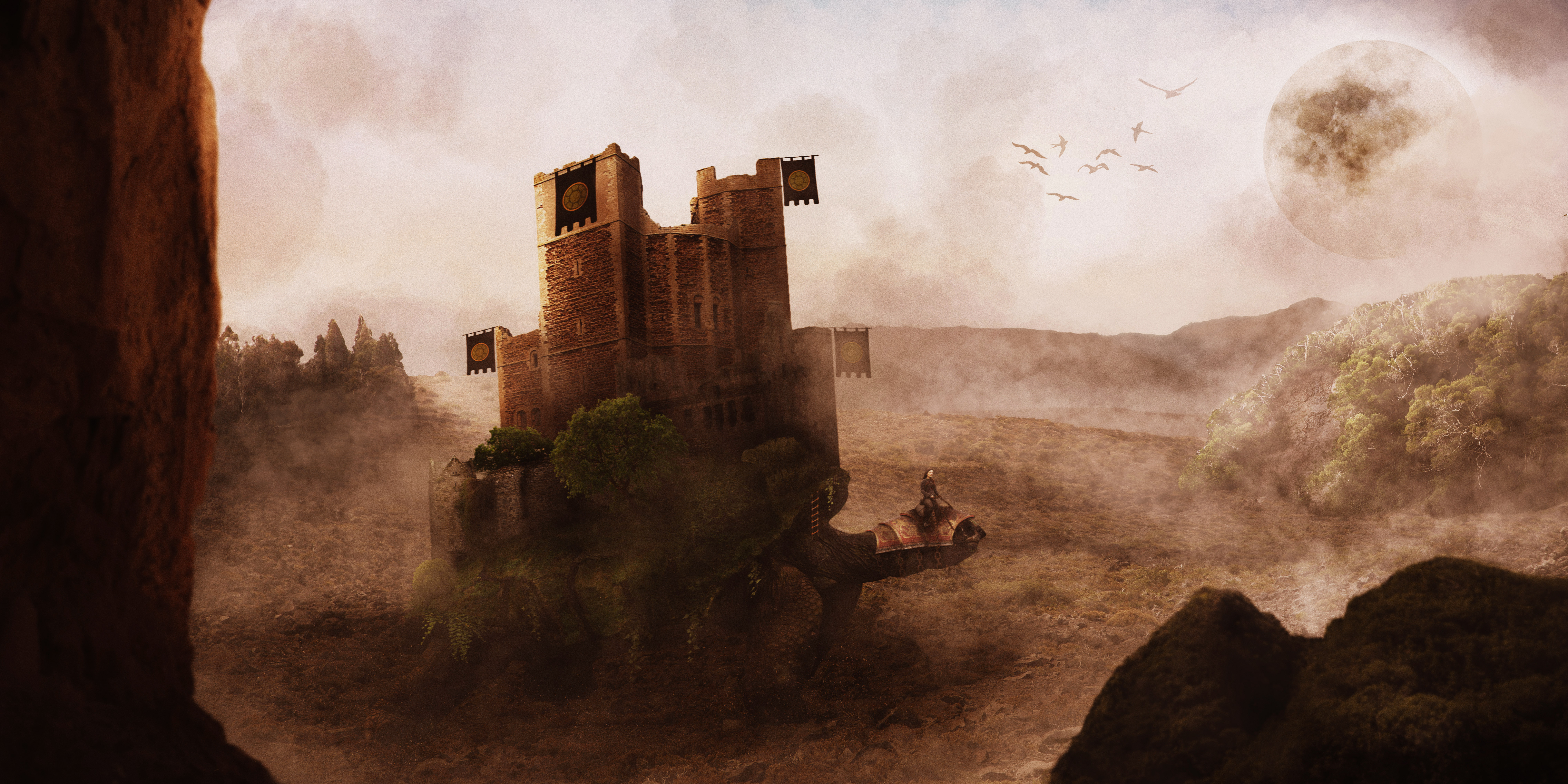 castillotortuga